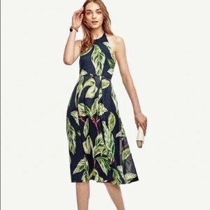 Breezy Tropical Print Halter Dress